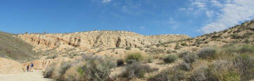 Desert bg Country Homes Campers